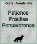 Practice Patience Perseverance